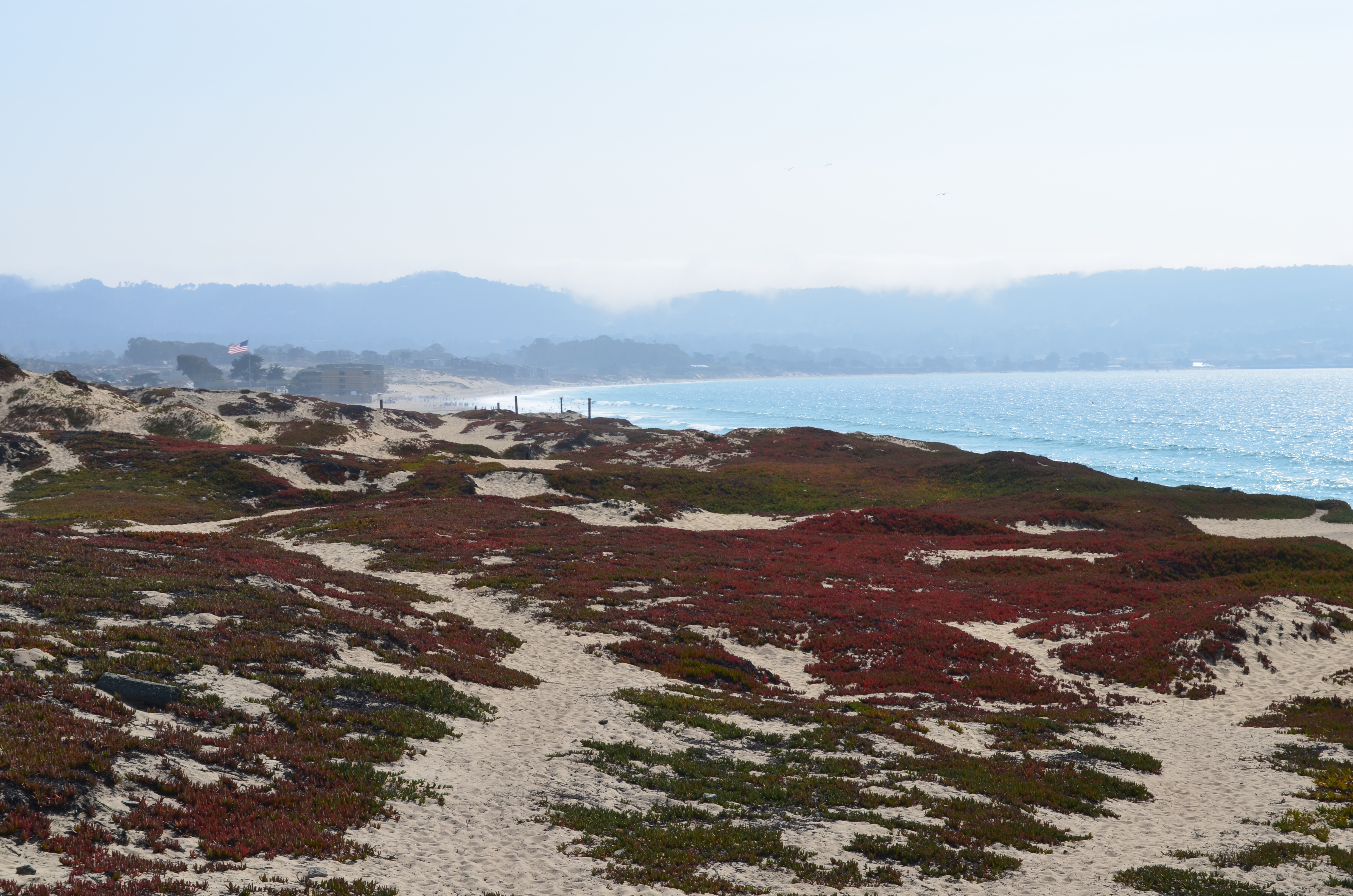 ./2018/09 - San Francisco/ASC_0320.JPG